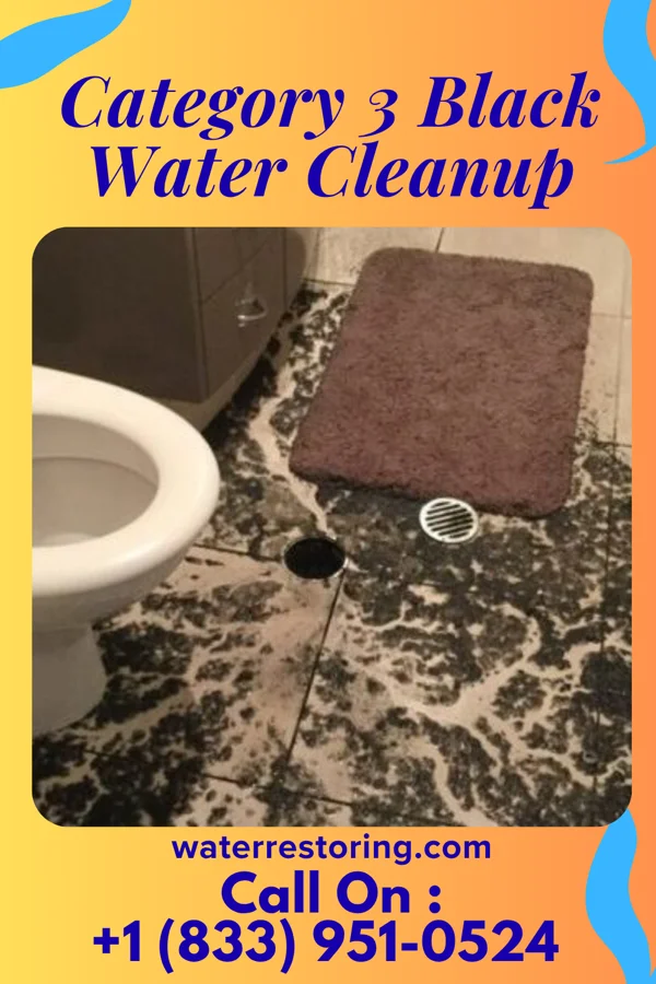 Category 3 Black Water Cleanup in Washington, MO
