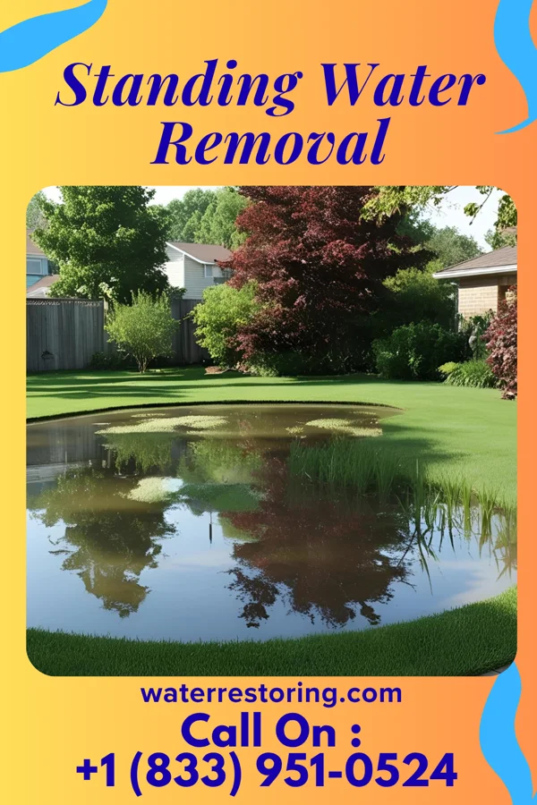 Standing Water Removal in Washington, MO